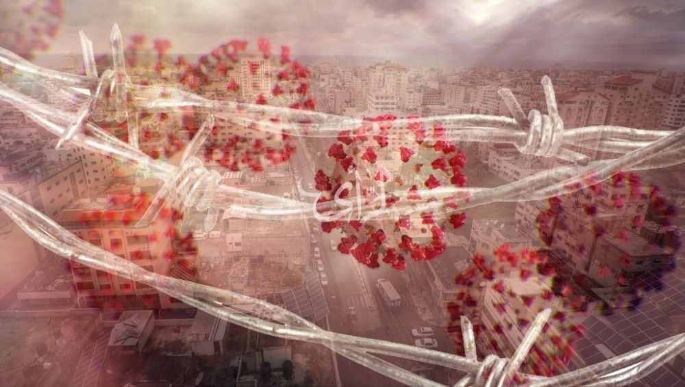 90735691_552451522142760_6977199137133428736_n