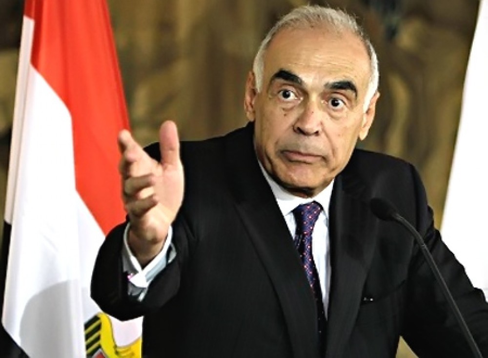 وزير الخارجية المصري