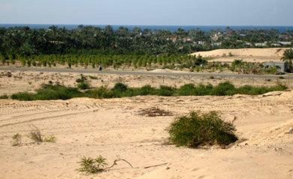 أراضي بحي البراق في محافظة خان يونس 
