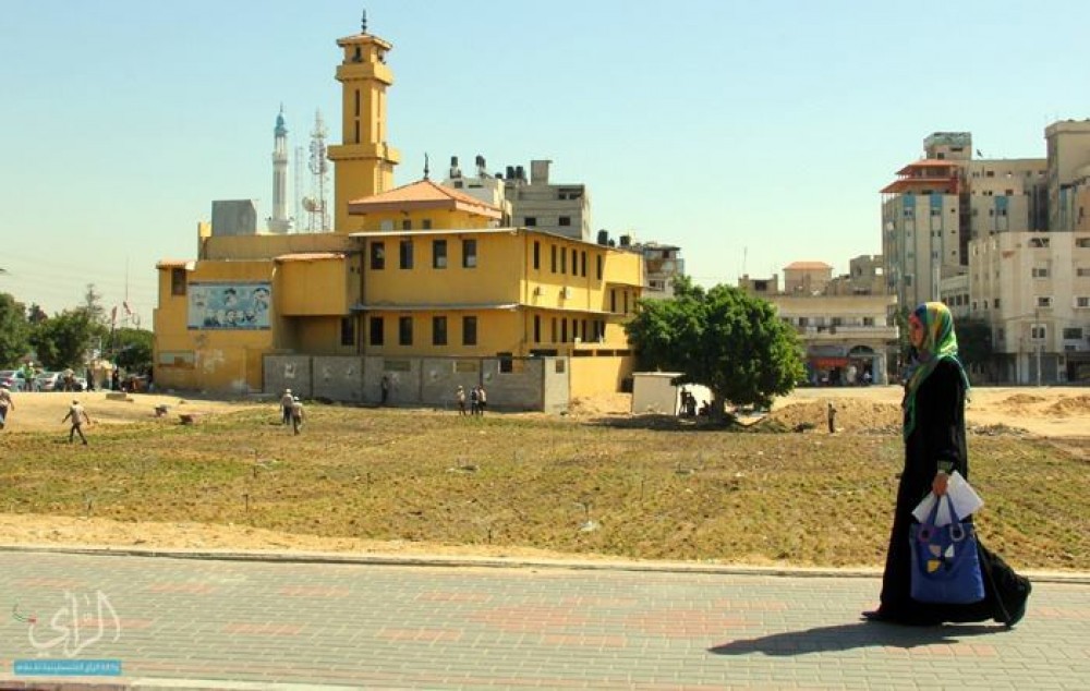 جانب من العمل على تعشيب الساحة