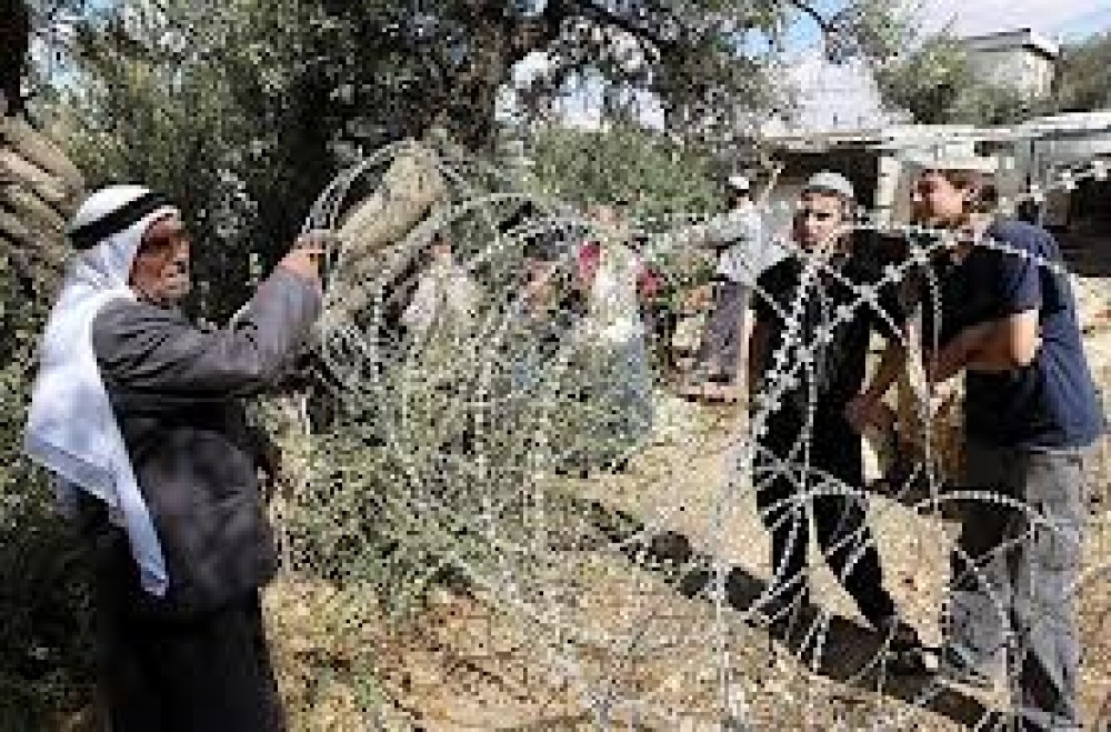 اعتداءات المستوطنون على المزارعين الفلسطينيين