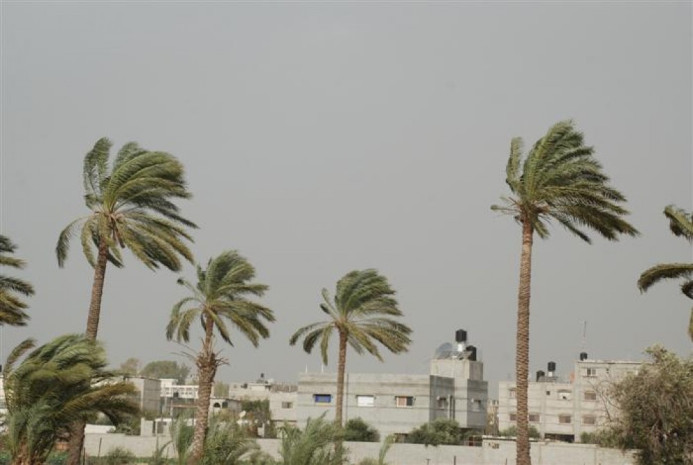 أرشيف