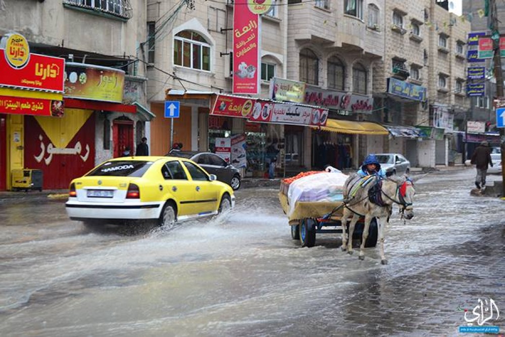 تصوير/ عبد الحكيم أبو رياش
