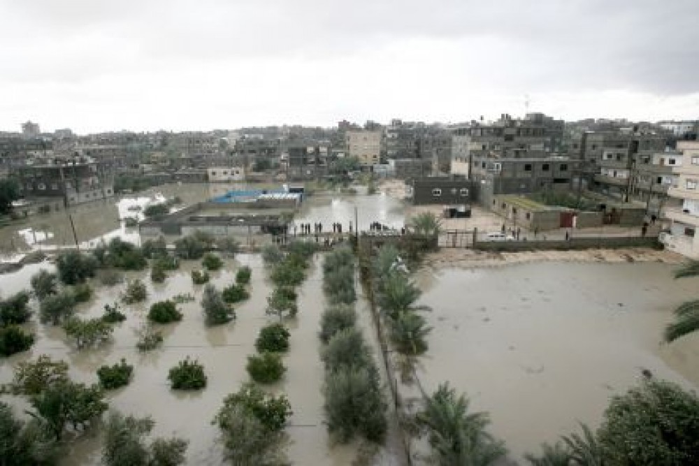 مساعٍ حثيثة لتعويض المزارعين المتضررين