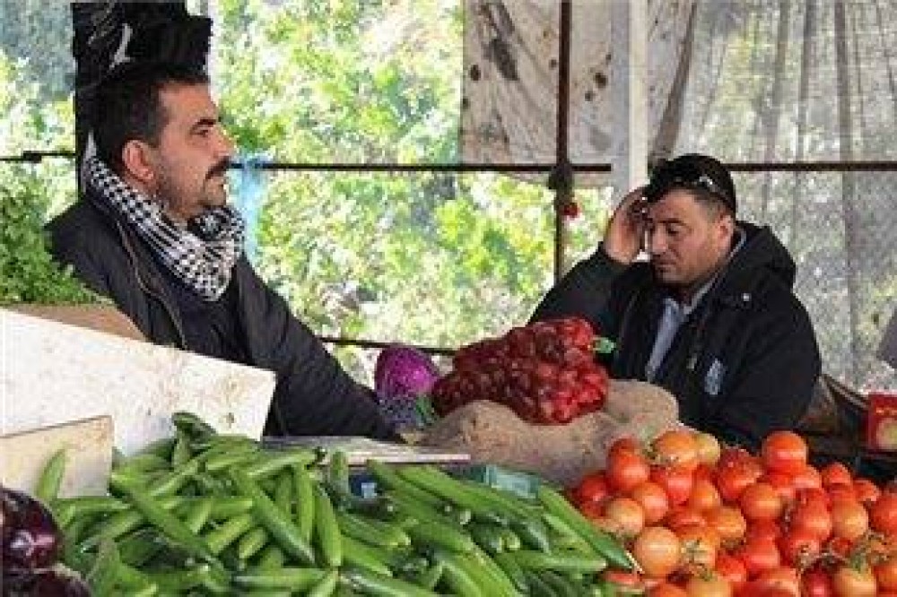 أسواق القطاع