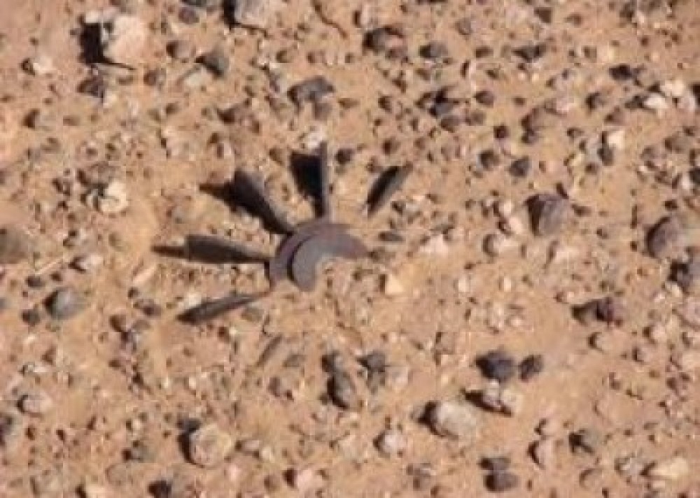جسم مشبوه