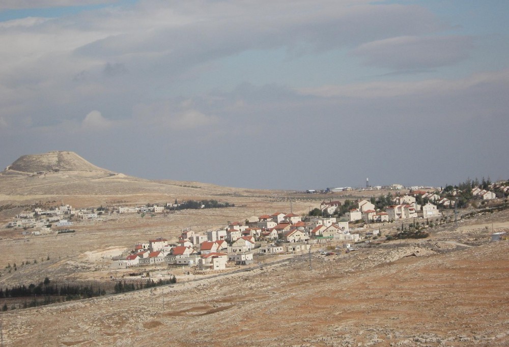 مستوطنة تقوع 