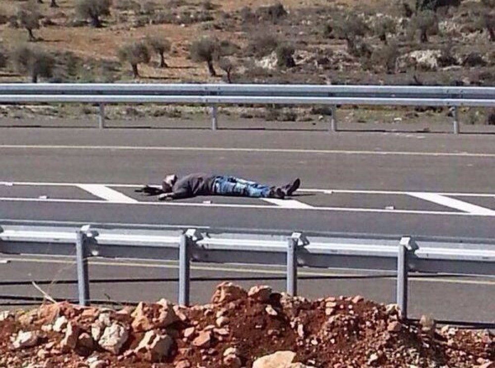 صورة الشهيد 