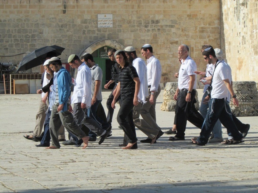 مستوطنون داخل باحات المسجد الأقصى 