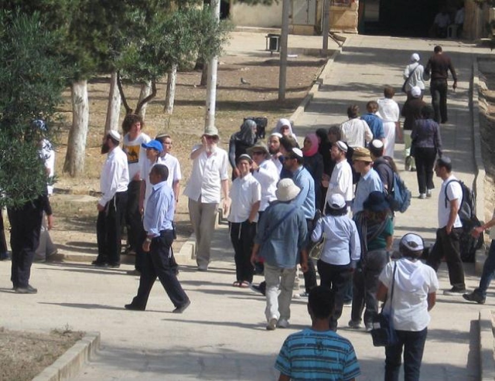 مستوطنون داخل باحات المسجد الأقصى 