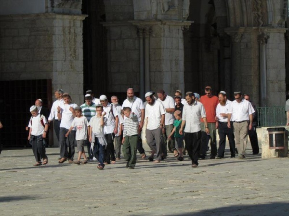 مستوطنون داخل باحات المسجد الأقصى 