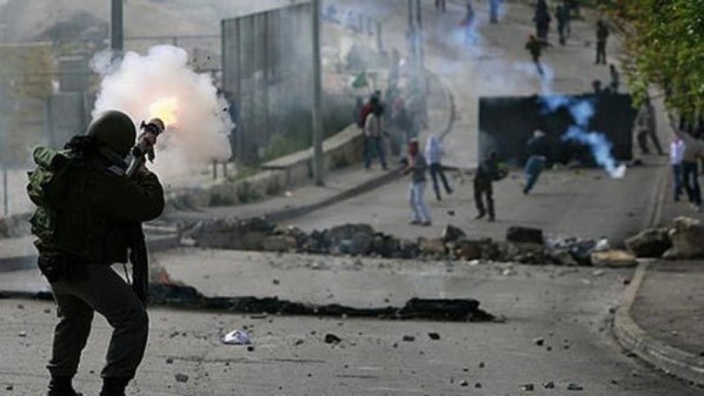 صورة توضيحية 