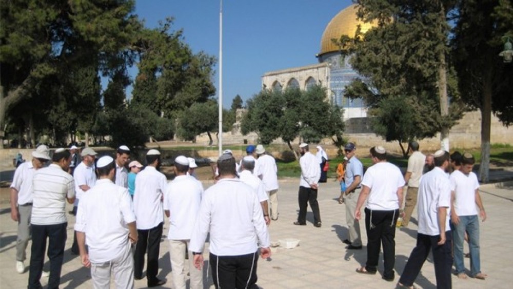 متطرفون يهود داخل باحات المسجد الأقصى 