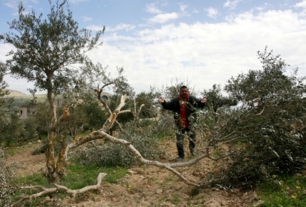 صورة أرشيفية 