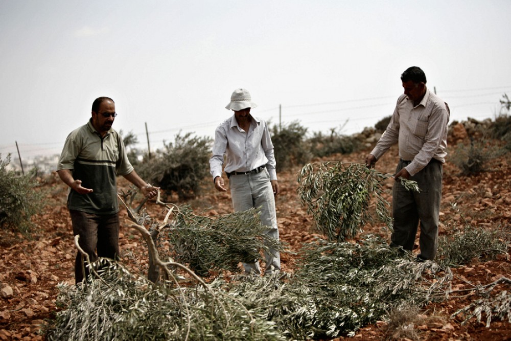 صورة أرشيفية 