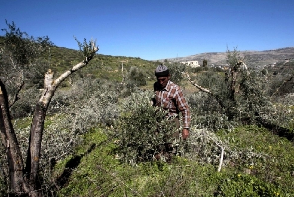 صورة أرشيفية 
