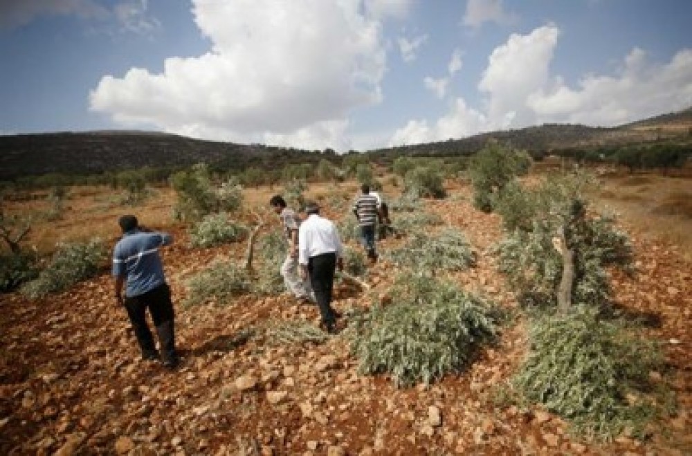 صورة أرشيفية 