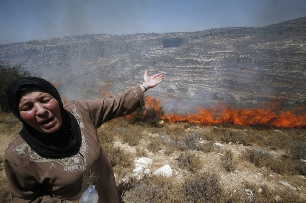 صورة أرشيفية 