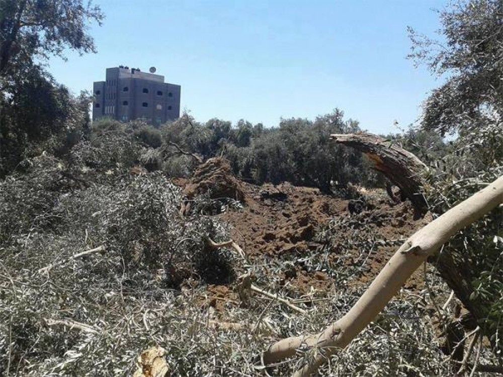 آثار تجريف الاحتلال لأراض زراعية بغزة 