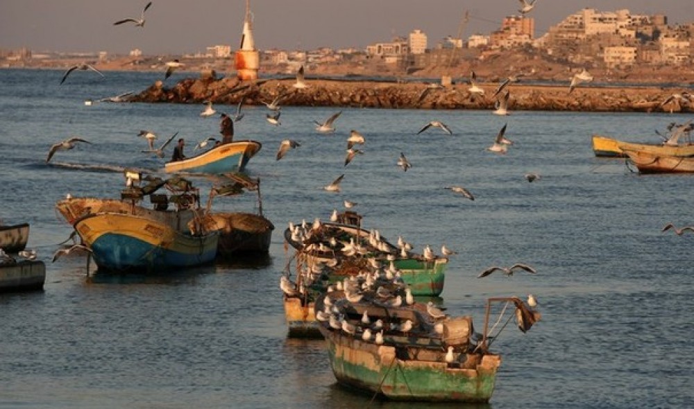 ميناء غزة البحري