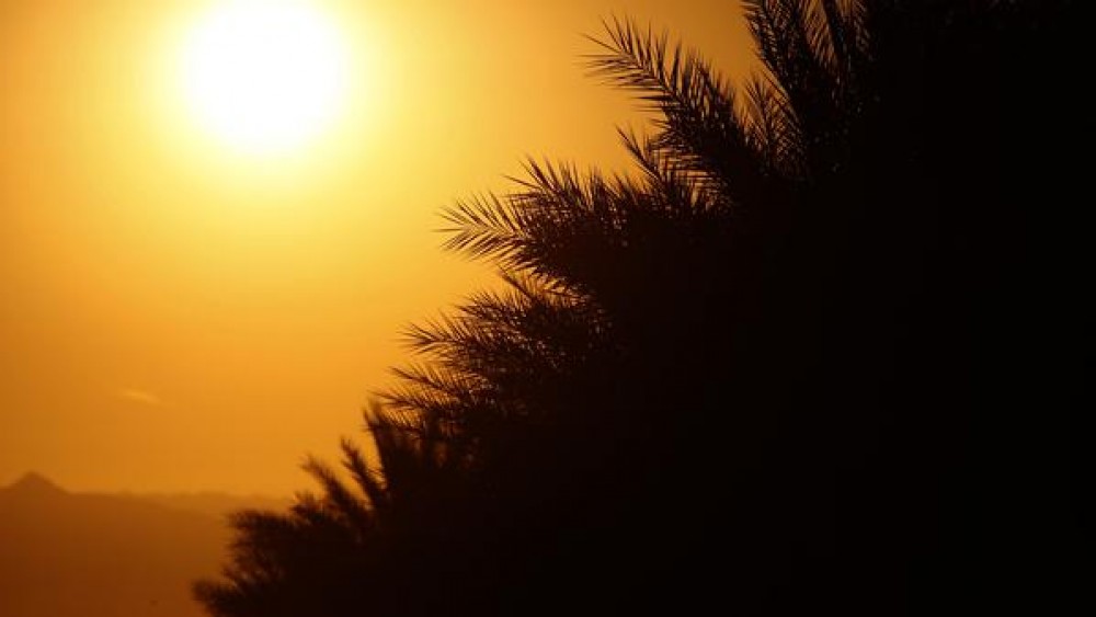 أرشيف