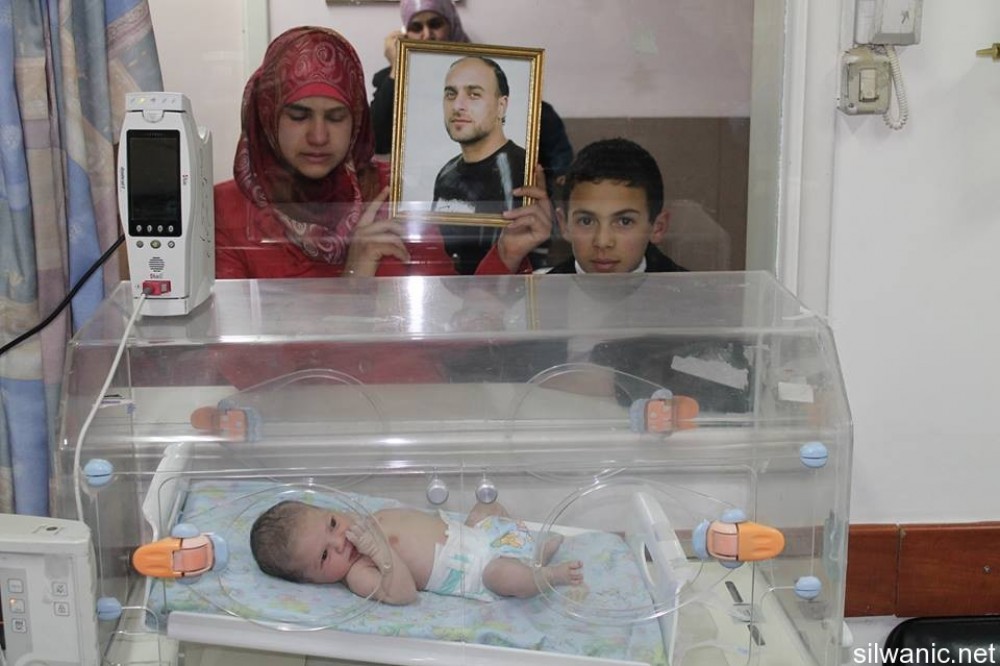 صورة توضيحية 