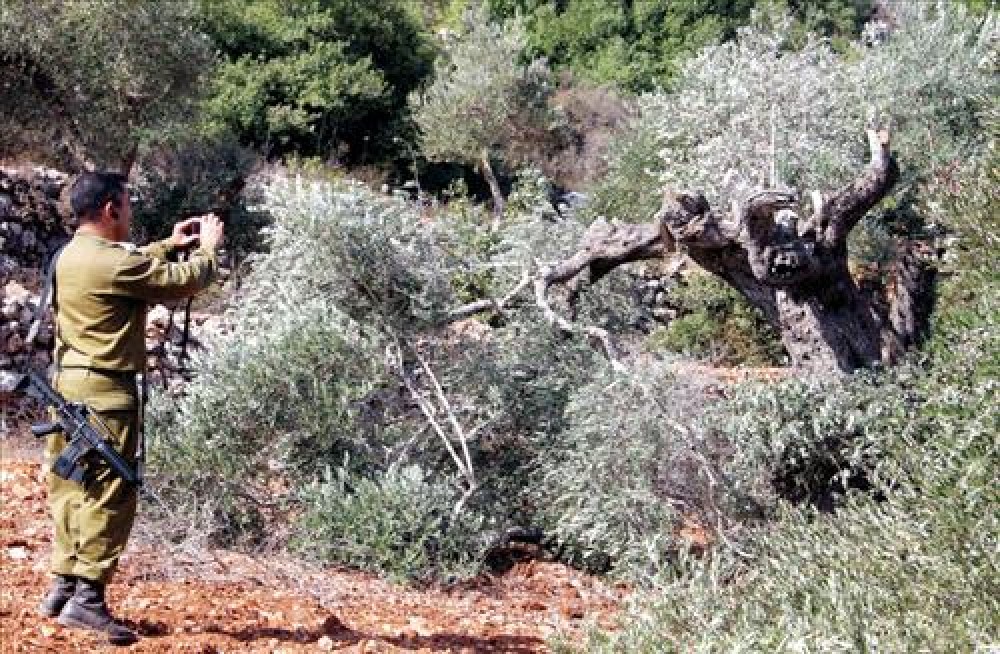 صورة أرشيفية