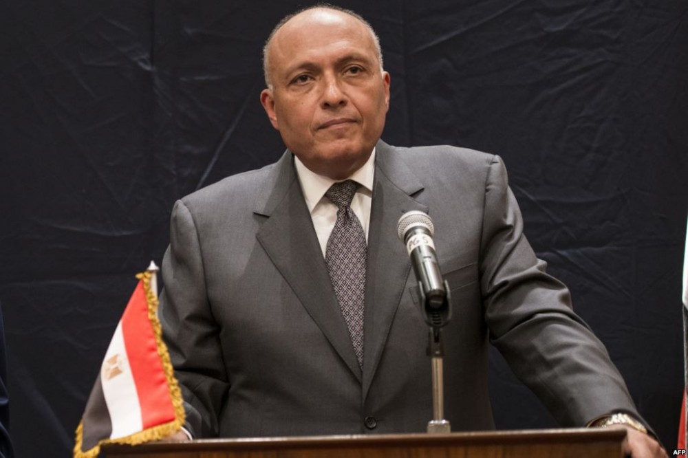  وزير الخارجية المصري سامح شكري