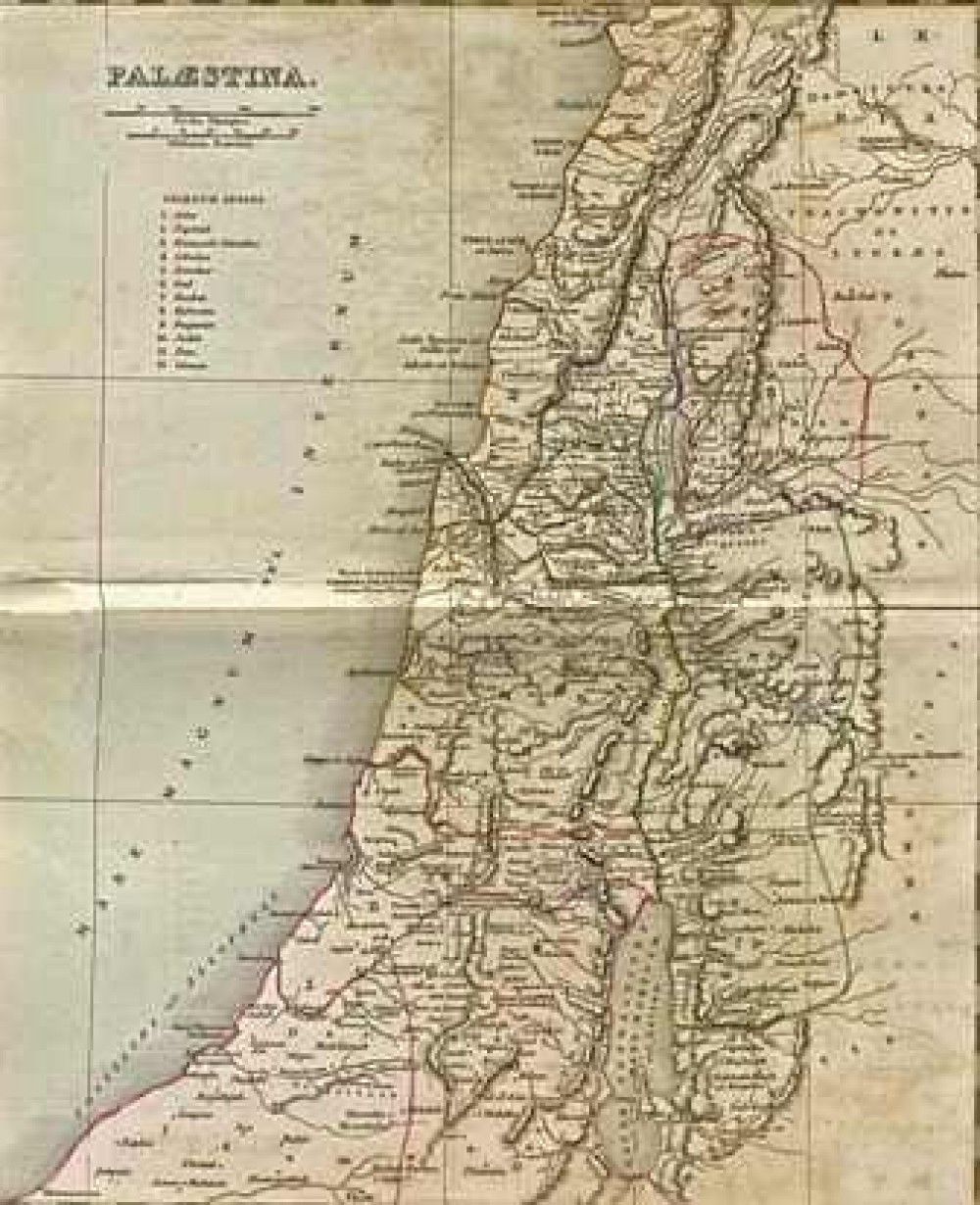 صورة توضيحية 