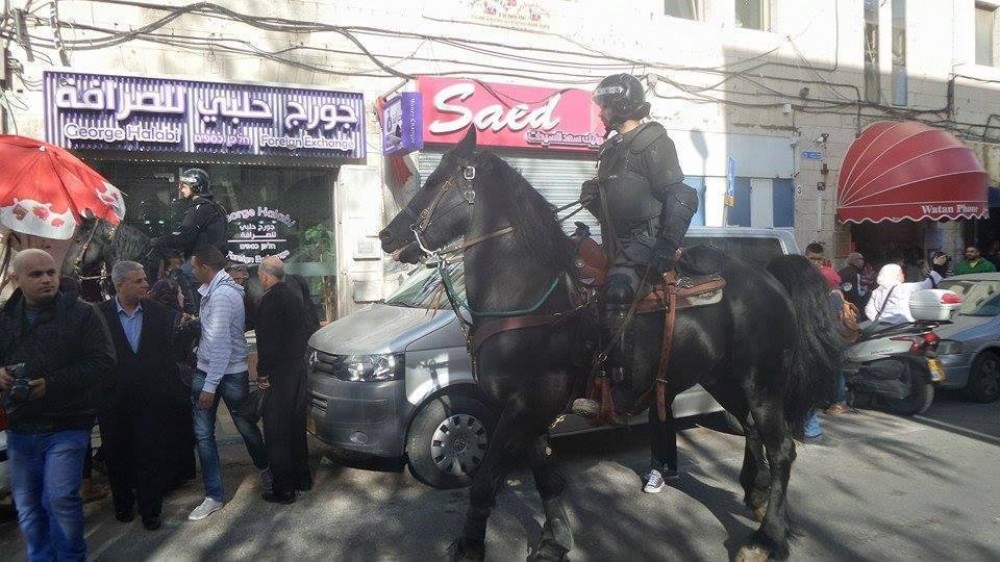 الخيالة 