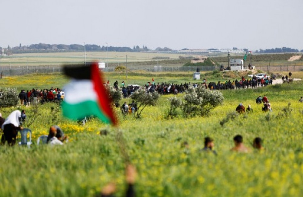 جانب من الفعالية شرق غزة