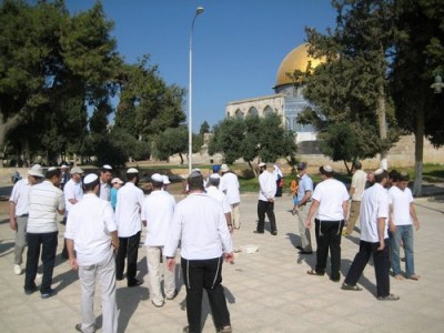 Backed by Israeli soldiers, 100 Jewish settlers storm al-Aqsa compound