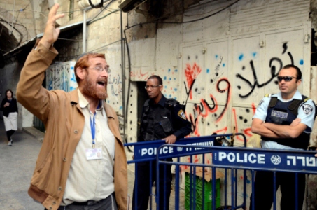 76 settlers led by Glick storm Al-Aqsa