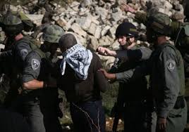 Israeli forces arrest 24 Palestinians from the West Bank