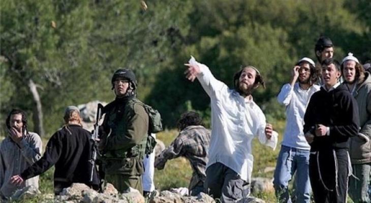 Israeli settlers assault two Palestinians in Salfit